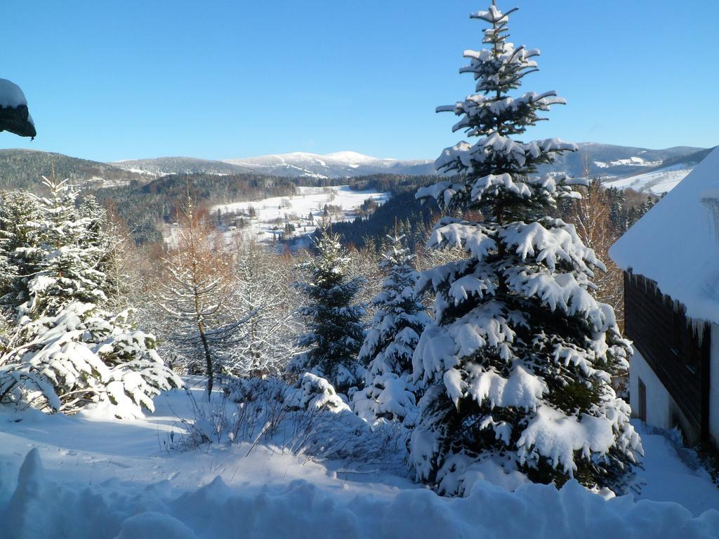 Privat Pohoda Пасеки-над-Йизероу Экстерьер фото